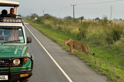 Excursión de 5 días a Uganda; Bwindi, Lago Bunyonyi &amp;Queen Elizabeth NpTour de 5 días y 4 noches por Bwindi, el Lago Bunyonyi y la Reina Isabel