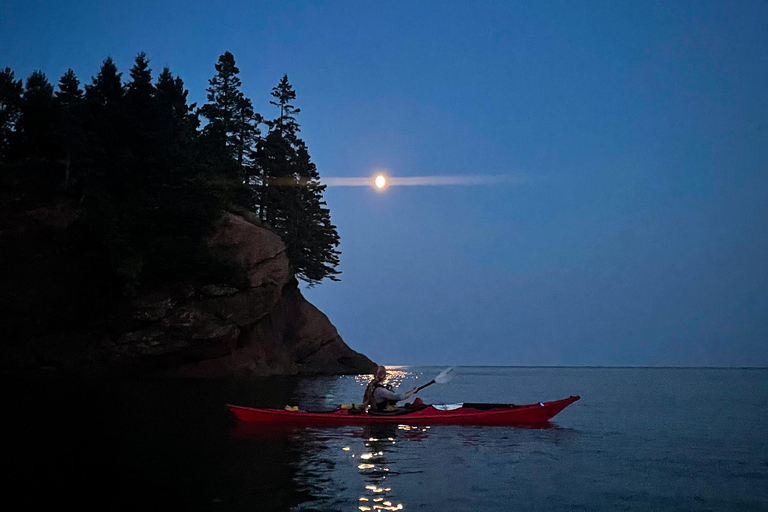 Saint John: Guided Kayaking Tour of St. Martins Sea Caves Sea Caves Half-Day Kayak Tour