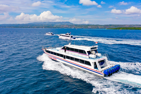 Gili Trawangan: Sanur Fast Boat Transfer with Luggage Lembongan : Gili Trawangan Fast Boat Transfer with Luggage