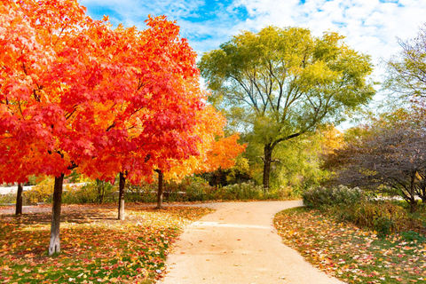 Ghosts & Gangsters Chicago Guided Walking Tour 2-hour: Spanish Walking Tour