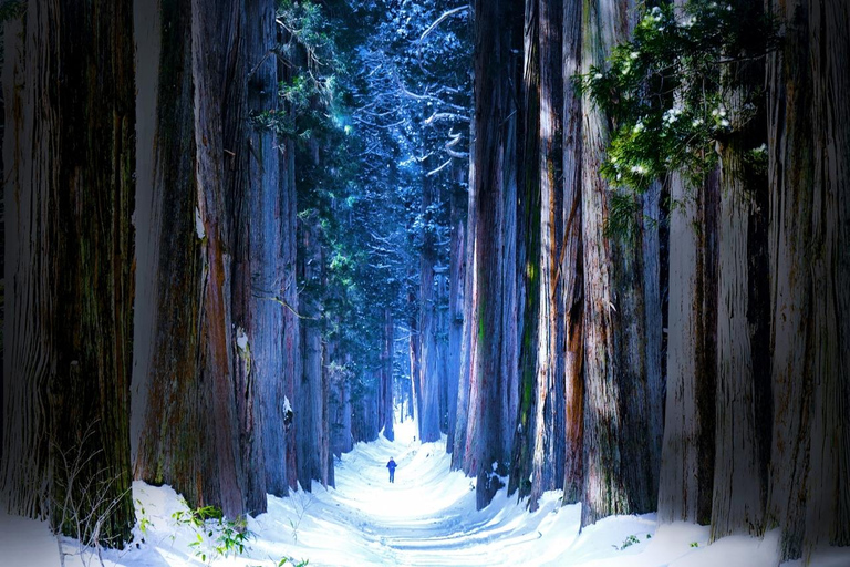 Nagano: Ausflug zum Togakushi-Schrein und zum Jigokudani-Schneeaffenpark