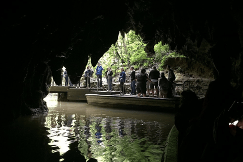 Private Day Tour: Waitomo Glowworms & Hobbiton Movie Set