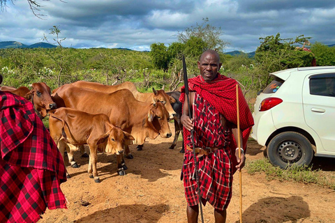 Kenya: Maasai Village Visit with Traditional Dance Show