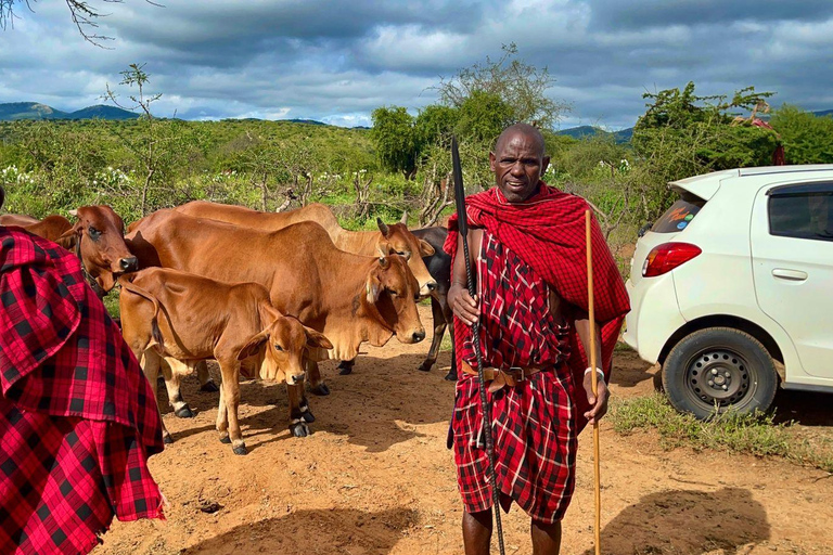 Kenya: Maasai Village Visit with Traditional Dance Show