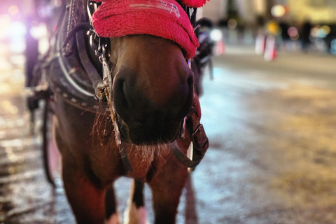 NYC: Christmas Lights Horse Carriage Ride