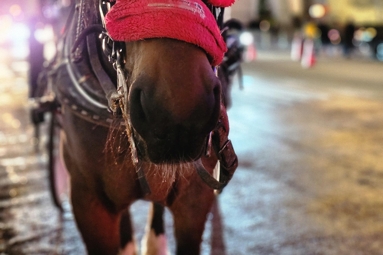 NYC: Christmas Lights Horse Carriage Ride