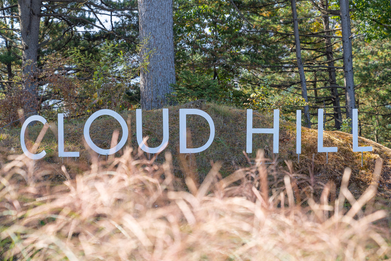 Gyeonggi: Alpaca & Sheep Ranch Admission Ticket in Gapyeong