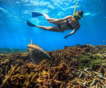 Trincomalee: tour con balene e delfini + snorkeling a Navy Island