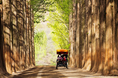 Depuis Séoul : L'île de Nami, le jardin coréen et l'excursion en vélo sur rail