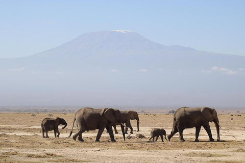 Nairobi: 3-Day Masai Mara & Lake Nakuru Safari Tour