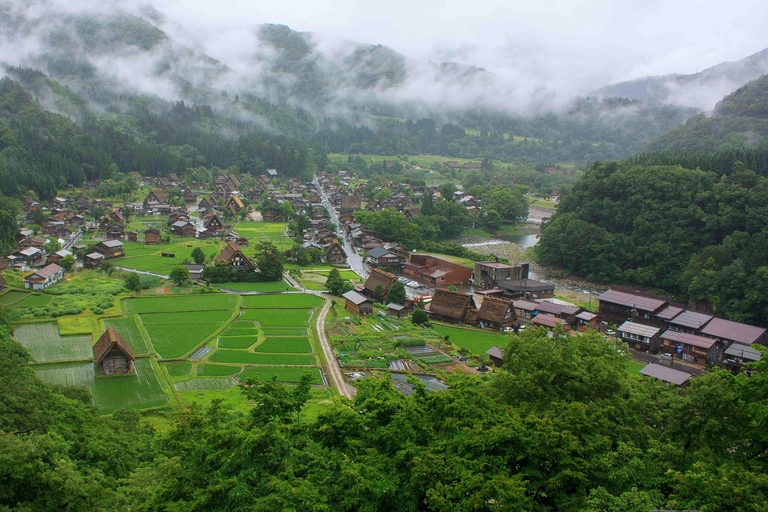 Nagoya: Takayama & Shirakawa-go Full Day Private Tour.