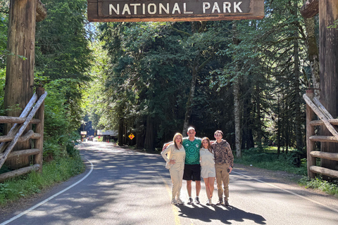 Mount Rainier National Park Small-Group DayTour from Seattle