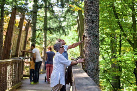 Bavarian Forest: Treetop Walk & Egg Tower Experience