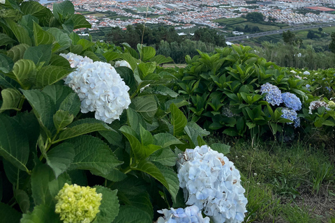 São Miguel: Sete Cidades, Lagoa do Fogo & Furnas - Full Day Tour