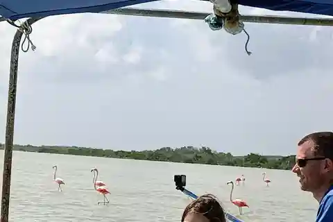 Río Lagartos: safari con i fenicotteri e tour Las Coloradas