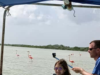 Río Lagartos: Safari privado de flamencos con guía naturalista