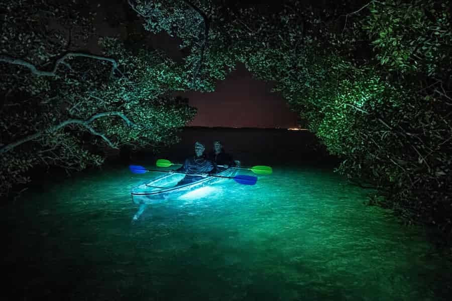 Bradenton: LED-Tour mit transparentem Kajak bei Nacht. Foto: GetYourGuide Bradenton: LED-Tour mit transparentem Kajak bei Nacht. Foto: GetYourGuide