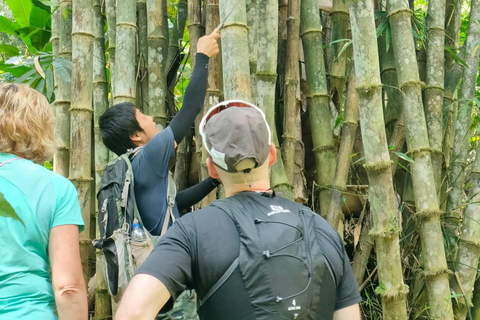 Chiang Rai: Jungle Adventure-Group Trekking & Bamboo Cooking