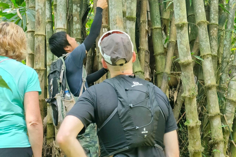 Chiang Rai: Jungle Adventure-Group Trekking & Bamboo Cooking