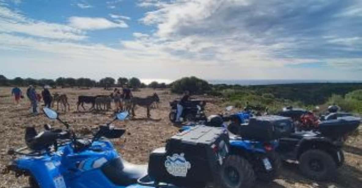 Afbeelding 4 van Quadavontuur in de Golf van Orosei: stranden, archeologie en panorama's