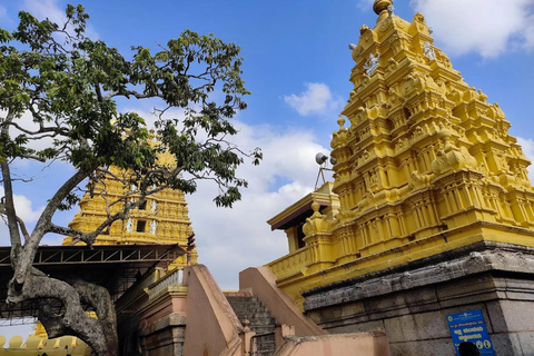 Day Trip to Mysore from Bengaluru with Car, Lunch, and Guide