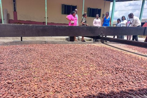 Accra: tour della piantagione di cacao e della fabbrica di cioccolato con pick-upAccra: tour di una piantagione di cacao e di una fabbrica di cioccolato con servizio di trasferimen
