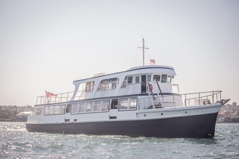 Sydney Vivid Harbour Cruise with Drink & Rooftop Views