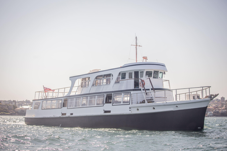 Sydney Vivid Harbour Cruise with Drink & Rooftop Views