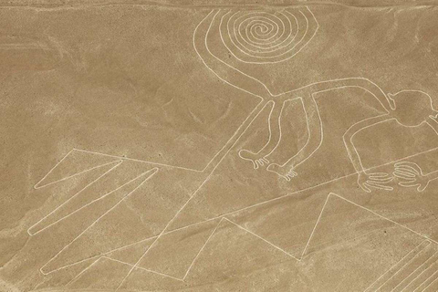 Expedición de 2 días Paracas, Huacachina y Nazca: Maravillas de la Costa