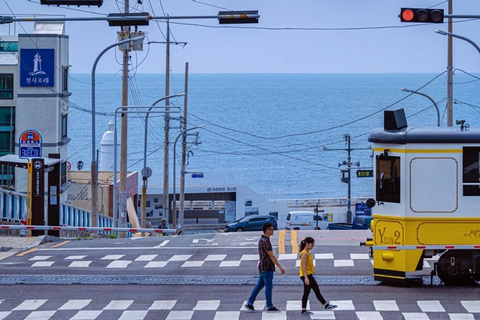 [Festival del ghiaccio di Biseulsan e luoghi da visitare assolutamente a BusanStazione di Seomyeon Uscita 8