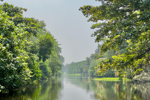 Negombo To Muthurajawela Wetlands Bird Watching Boat Tour