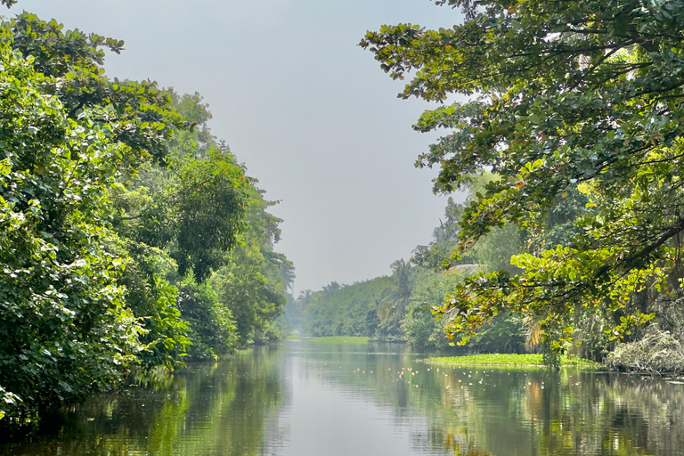 Negombo To Muthurajawela Wetlands Bird Watching Boat Tour
