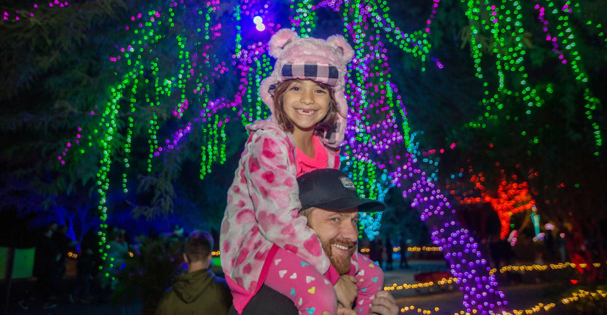 Phoenix, Phoenix ZooLights Eintrittskarte - Hizvo