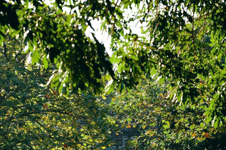 Hue : Excursion d&#039;une journée avec chauffeur parlant anglaisVous pouvez choisir de visiter 4 destinations