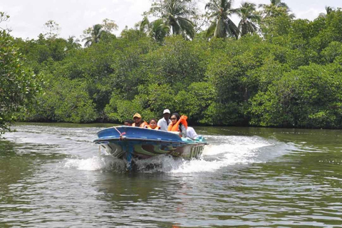 Sri Lanka : Día en Galle, río Madu y criadero de tortugas