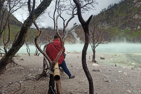 Vulcano, sorgenti calde, bagni di fango e tour del tè: tutto inclusoGiro aperto