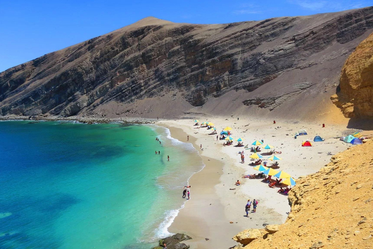 Paracas, Ballestas Islands, & Paracas National Reserve Tour from Ica