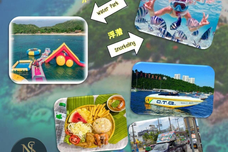 芭堤雅珊瑚岛探险之旅：芭堤雅最佳海滩度假胜地芭堤雅珊瑚岛探险之旅：芭堤雅最佳海滩之旅