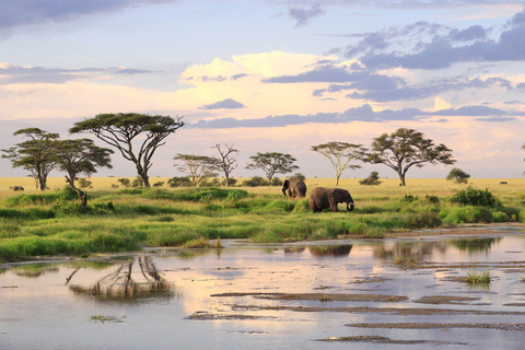 7 Days Comfortable Tanzania Safari
