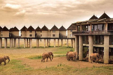 Mombasa: 4-Day Tsavo East, West, & Taita Hills Safari