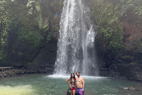 Ubud: Private Half-Day Tour Rice Terrace, Temple & Waterfall Private Ubud Half-Day Tour (Without Entrance Ticket)