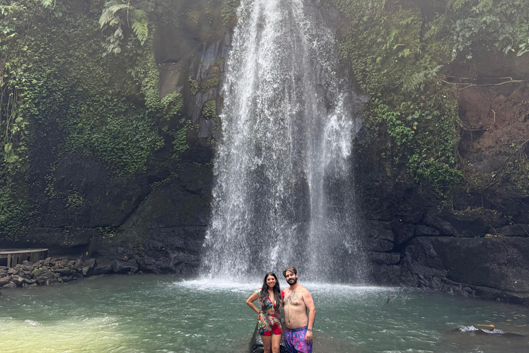 Ubud: Private Half-Day Tour Rice Terrace, Temple & Waterfall Private Ubud Half-Day Tour (Without Entrance Ticket)