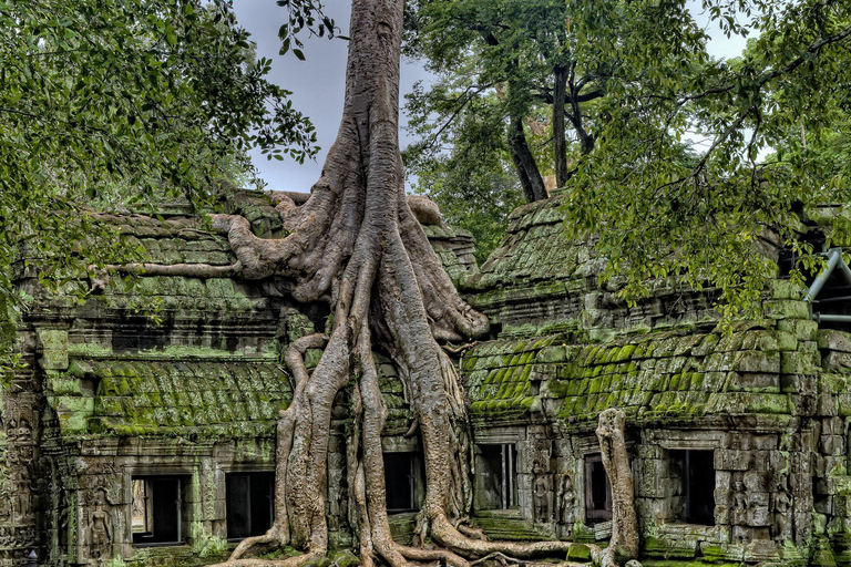 Siem Reap: Private Taxi to Angkor Wat and Small Circuit