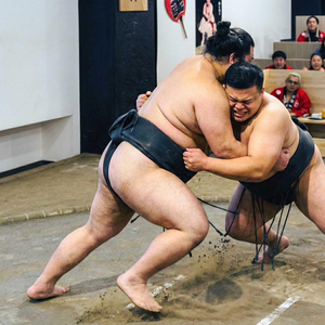 Tokyo Ginza: Sumo Show Full of Experiences & Souvenir Photos