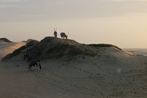 Sandwich Harbour: Sunset Photography Tour from Swakopmund