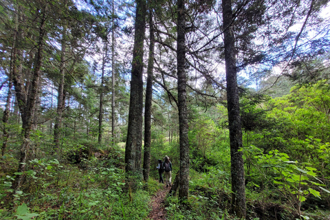 2-Day Sierra Norte Cloud Forest Adventure