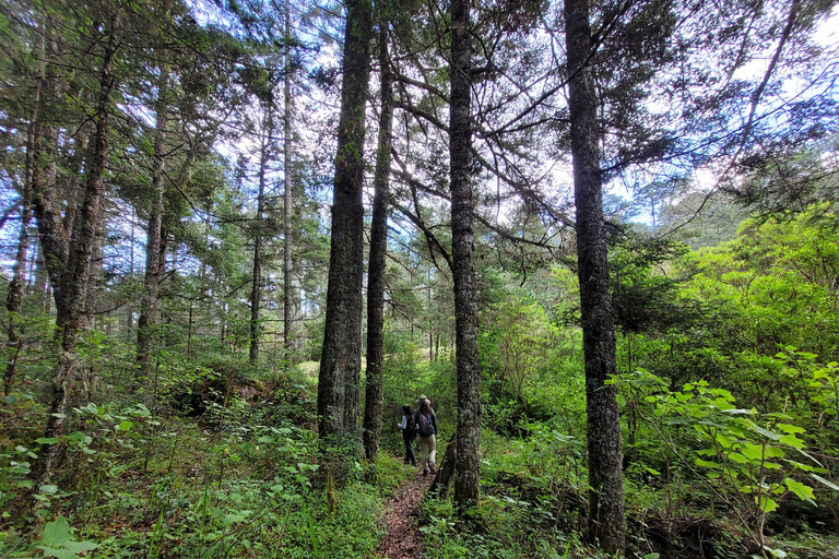 2-Day Sierra Norte Cloud Forest Adventure