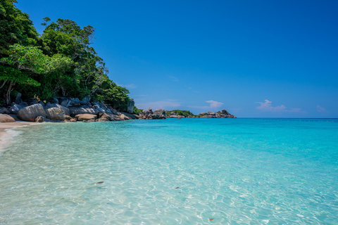 Depuis Krabi : Excursion d&#039;une journée en hors-bord dans les îles SimilanVisite d&#039;une journée à Join In avec transfert