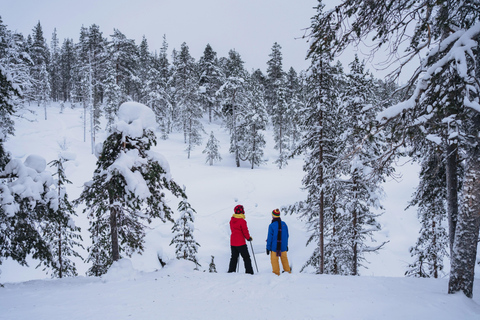 Nuuksio National Park Snowshoe Hike with Lunch & Pickup
