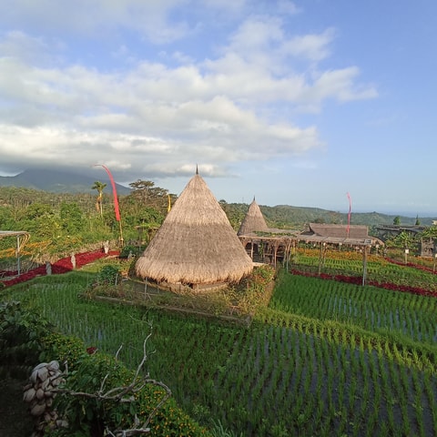 ubud trip monkey forest sanctuary